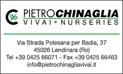 Pietro Chinaglia Vivai Nurseries